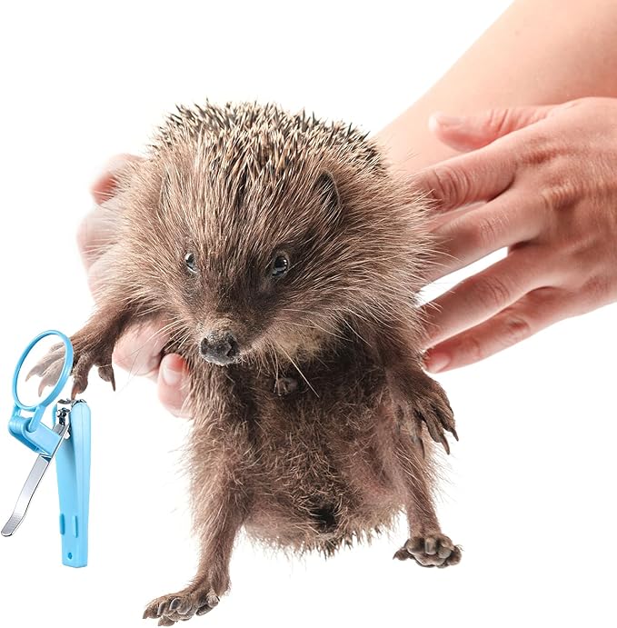 Mudder 3 Pcs Hedgehog Small Animal Grooming Kit Including 2 Bathing Brush and a Nail Toenail Clipper with Magnifier for Pet Hamster Hedgehog Guinea Pig Rabbit Cat Kitten