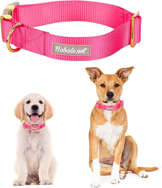 Nylon Dog Collar - Adjustable Rose Red Soft Webbing Dog Collars for Small Medium Large Dogs Boy Girl Puppy Collar with Safety Metal Buckle S
