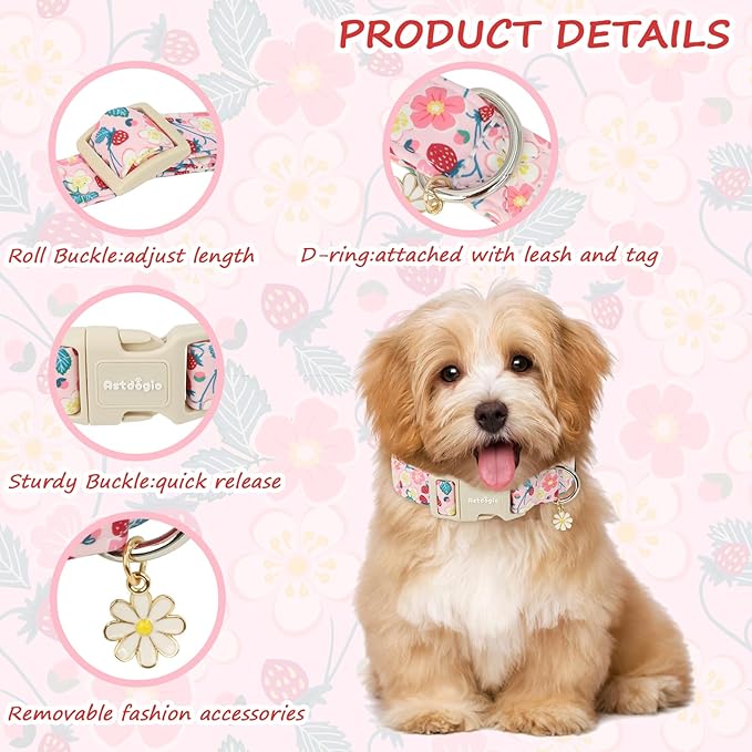 Dog Collar for Medium Dogs, Spring Pink Dog Collars with Strawberries & Flowers, Adjustable Medium Dog Collars, Cute Girl or Boy Dog Collar Ideal for Puppy Gifts,Pet Accessory