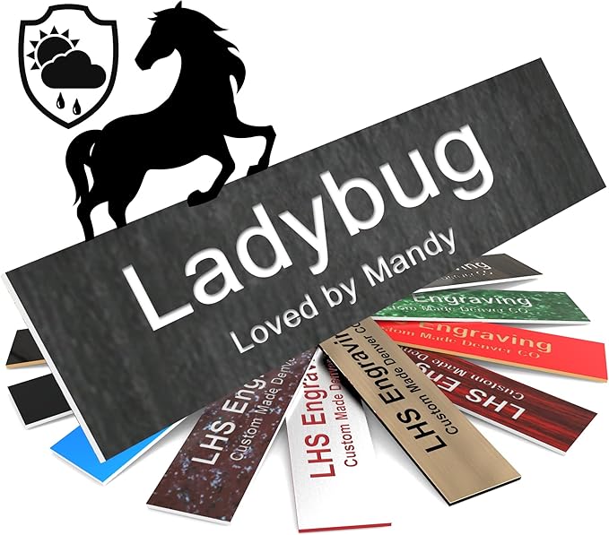 Personalized Horse Stall Name Plates, 2x6 Horse Stall Signs with Adhesive, All Weather UV Protected, Ash Plastic White Letters - Made in USA - N1