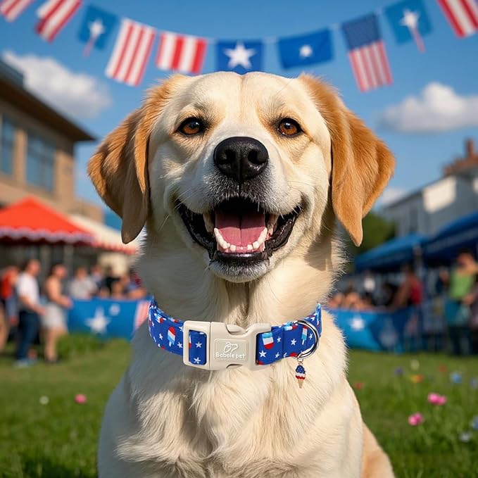 4th of July Dog Collar, Summer Popsicle Patriotic Dog Collars for Puppy Small Dogs, Adjustable Lightweight Quick-Release Buckle Collar for Boy&Girl Dogs XS