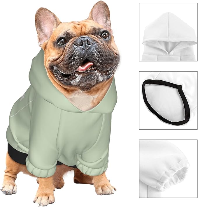 Personalized Chihuahua Dog Hoodie, Custom Pet Warm Sweatshirt Costume with Name Number Photo, Customize ID Clothes for Pupppy Kitten Dogs Cats, LightGreen, M