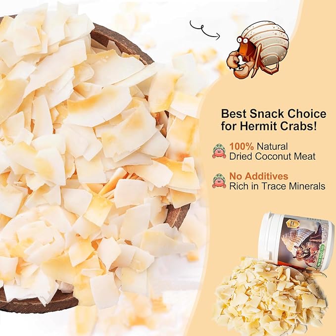 Hermit Crab Food - Baked Coconut Treat, Natural Dried Coconut for Crab Healthy & Additive Free, Easily Digestible Hermit Food Hermit - Ideal Crab Pet Snacks, Crispy & Delicious | 60g (Big)