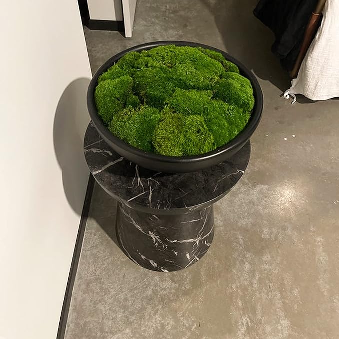 Preserved Pole Moss Pillow Bun Cushion Natural Green Decorative Real Natural Green DIY Kit Terrariums Gardenning Art Wall Decor Florist Decor Easter Table Decor Wedding (3.0 sq.ft., Green-B)
