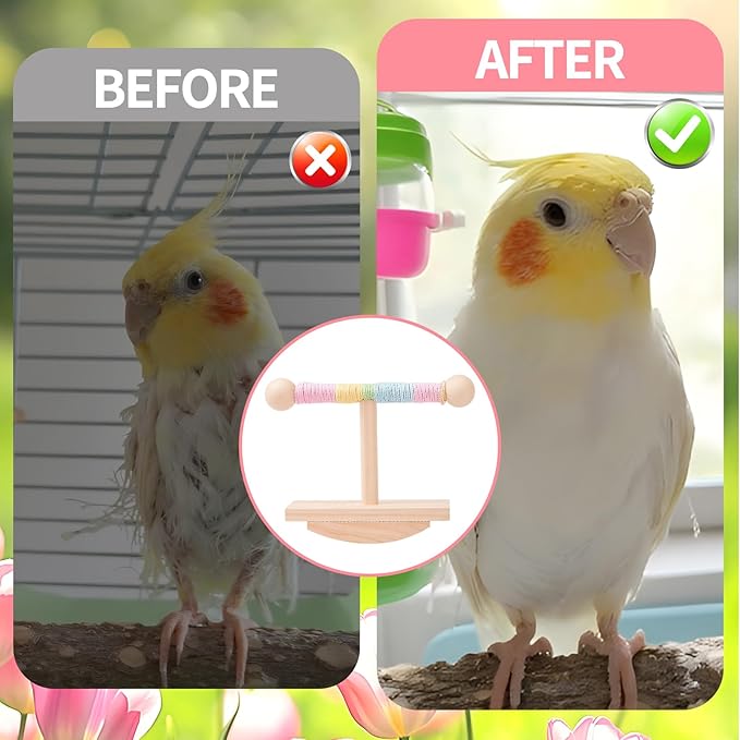 Parakeet Toys, Natural Wood Bird Perch Stand Training, Intelligence Puzzle Enrichment Toys for Parakeets,Wood Stand Toy for for Parakeets Budgies Conures Lovebirds Cockatiels (A, M)