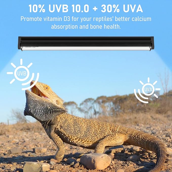 Bearded Dragon UVB Light Bulb T5 10.0,24W UVA UVB HO Reptiles Light Bar Bulbs 22 Inch for Bearded Dragon, Leopard Gecko Tortoise, Reptile & Amphibian Replacement Lamp Bulb 2 Pack