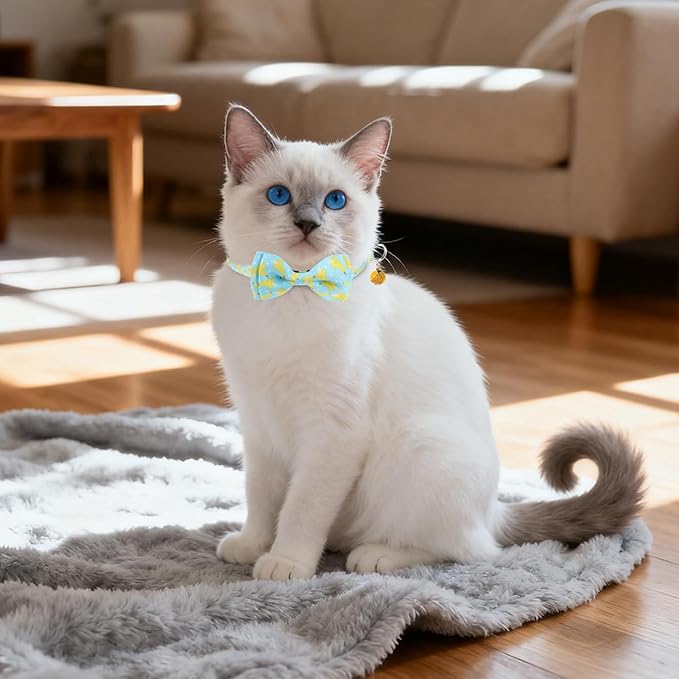 Breakaway Cat Collar with Removable Bow Tie and Bell, Cute Multi-Style Patterns, 3 Pack Safety Buckle Kitten Collars, Adjustable Pet Collar for Cats Puppy (Style B - Fruit)