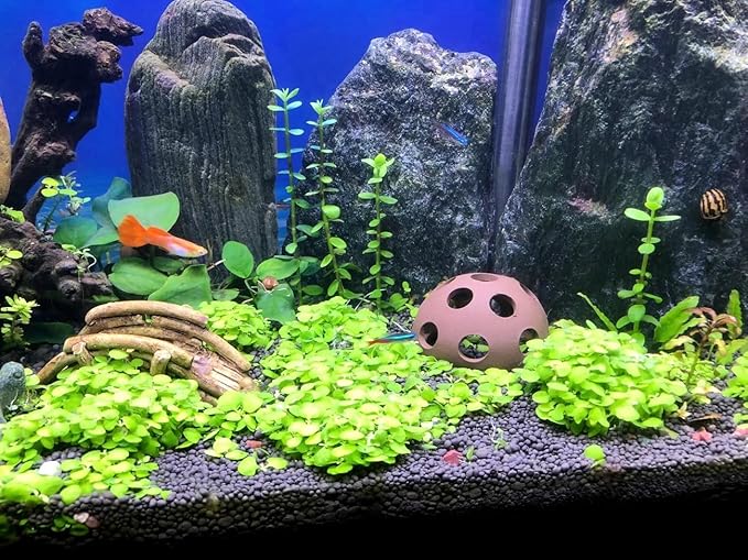 Ceramic Shelters, 4 pcs, Fish Tank Accessories Cave Décor, Small Fish House, Aquarium Hideout, Swim Holes Aquatic, Aquarium Cave for Freshwater and Saltwater Fish Tank (hemispherical)