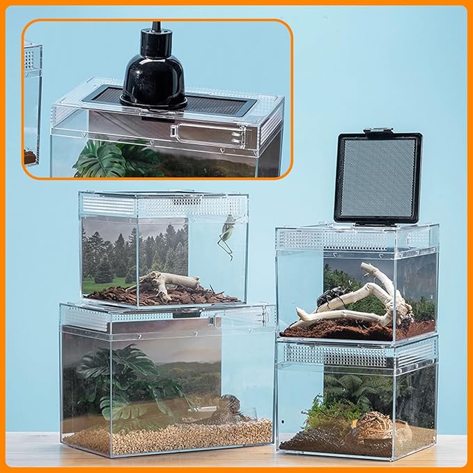Reptile Terrarium, Jumping Spider Enclosure Starter Kit, Leopard Gecko Habitat Container, 8"x8"x7"Reptile Tank for Tarantula, Hermit Crab, Insect, Fish, Frog, Small Bearded Dragon, Lizard