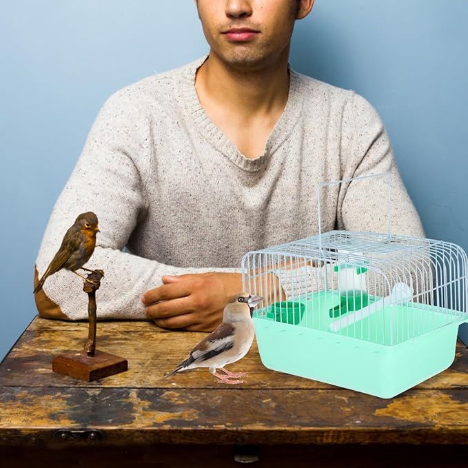 VANZACK Portable Birdcage Parrot Cage Parakeet Parakeet Travel Bird Carrier Bird Accessories Bird Carrier Travel Small Bird Cockatiel Abs Light Green