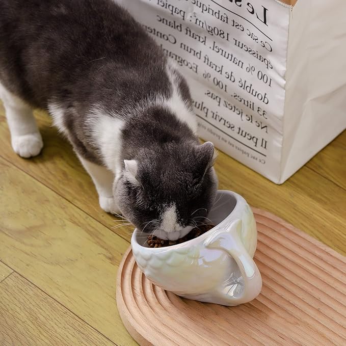 Nihow Cat Food Bowl: 5.7 Inch Ceramic Raised Cat Dish - Elevated Pet Bowl for Protecting Pet's Spine - Colorful White (4OZ /1 PC)