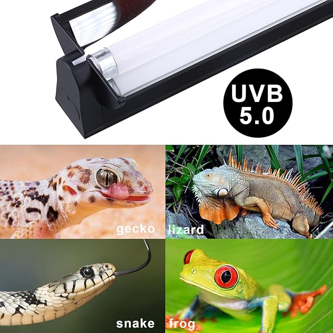 Aiicioo T5 UVB Lighting Combo Kit 39W - T5 UVB Reptile Light Fixture and 5.0 UVB Light Bulb for Bearded Dragon Leopard Gecko (34Inch 39W)