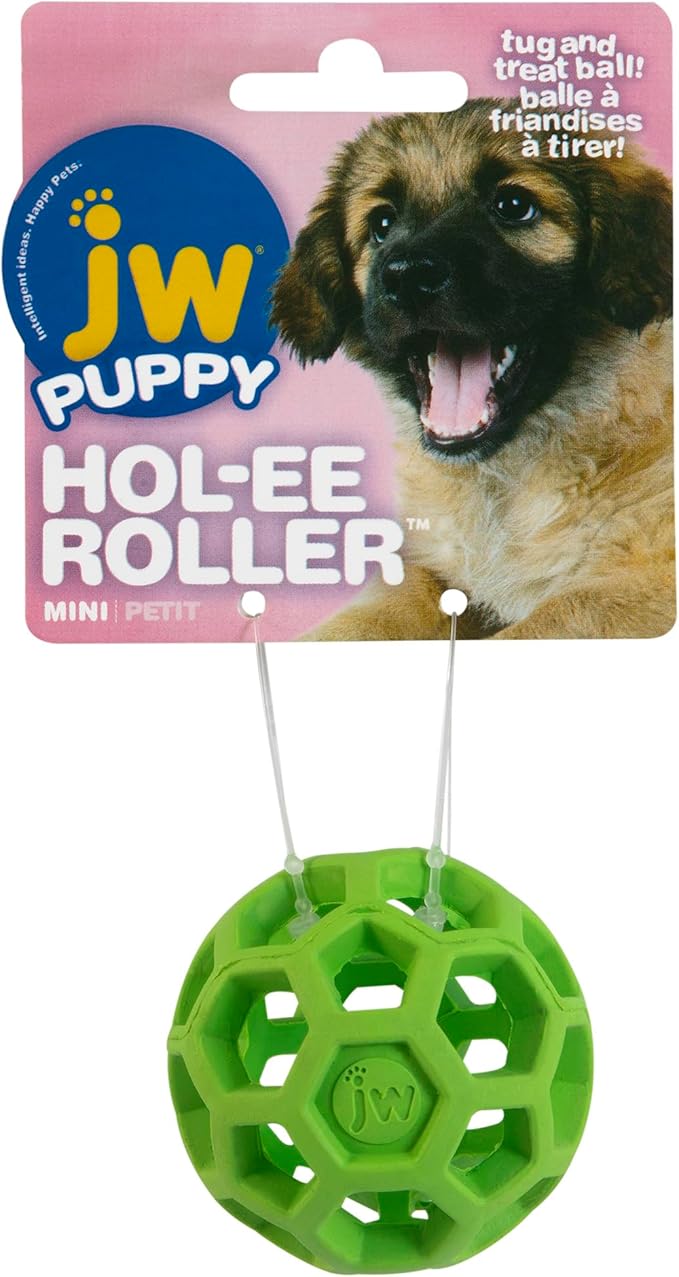 JW Hol-ee Roller Dog Fetch Treat Dispenser Puzzle Ball; Mini 1.75 Inch Diameter