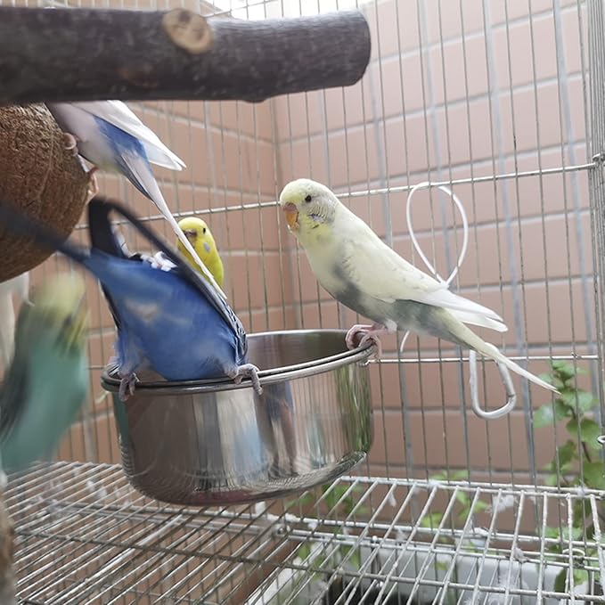 6 pcs Bird Feeding Dish Cups, Parrot Stainless Steel Food Bowl Cage Water Feeder with Clamp Holder for Parrots Cockatiel Budgies Lovebird Parakeet Feeding Cups with 6 Spoon