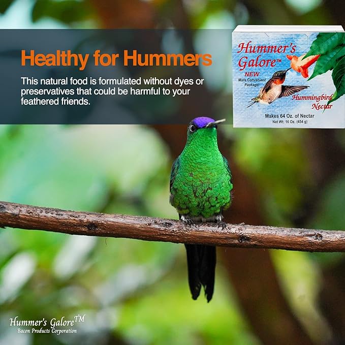 Hummer's Galore Made in USA Hummingbird Food - Ready-to-Mix Hummingbird Nectar, All-Natural Nectar Collector Formula, No Preservatives or Dyes, Makes 64 Ounces (4 Packets Included)