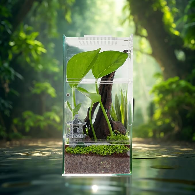 Jumping Spider Enclosure - Acrylic Terrarium Habitat for Spiders, Tarantulas, Snail, Mantis, Lizard, and Small Reptiles, Magnetic Doors (3x3x6 inch)