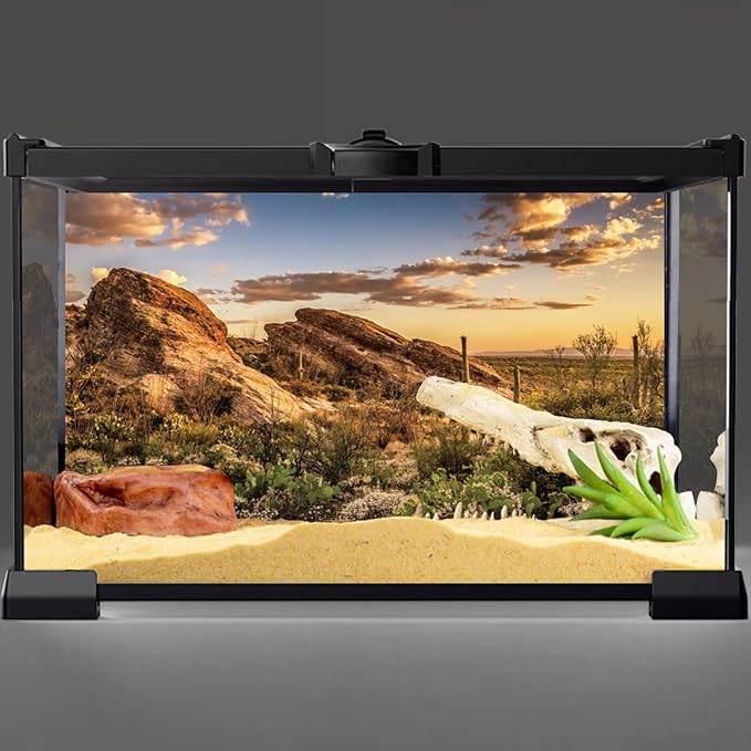 AWERT Reptile Habitat Background Blue Sky Oasis Cactus Sun and Desert Terrarium Background 30x12 inches Polyester Background