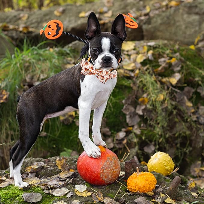 Dog Collar - Thanksgiving Turkey Pet Collar Bowtie Gift Puppy Cute Bow Collar Adjustable Metal Buckle Soft Cute Collars for X-Small Dogs