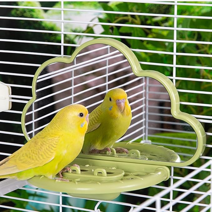 Bird Mirror with Perch Stand, Bird Toys for Parakeet Cockatiel Conure Lovebirds Finch Canaries (Green)