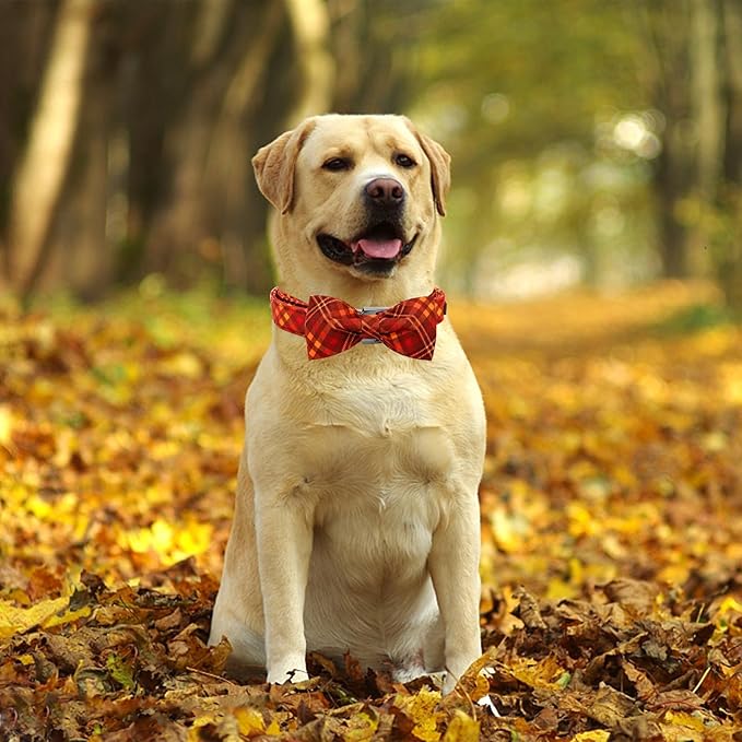 Fall Dog Collar, Pet Collar Bow Plaid Pet Collar Girl Boy Holiday Pet Collars Gift Bow Dog Collar Cute Soft Puppy Collar for Large Dogs