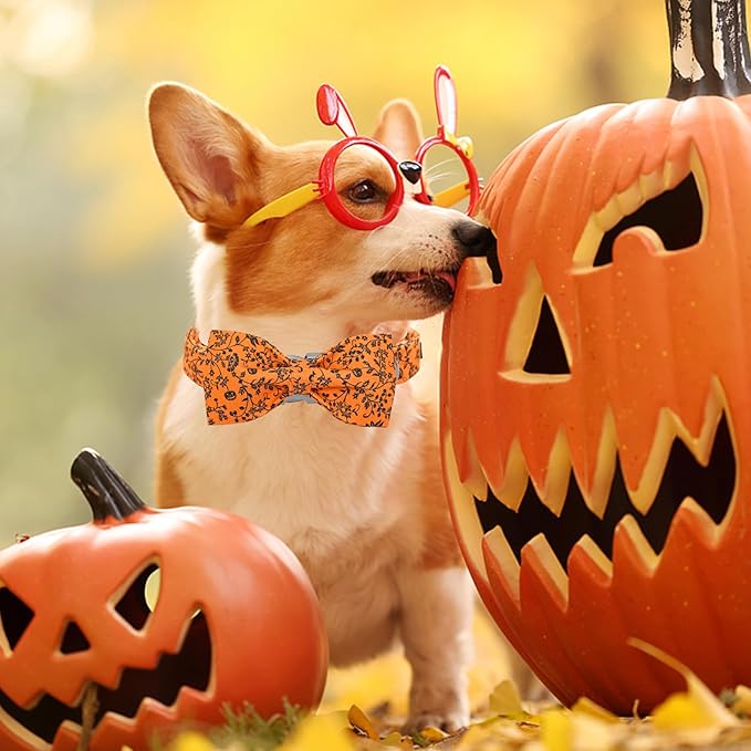 Halloween Dog Collar, Pet Collars Dog Bow Pumpkin Cute Cotton Dogs Collar Girl Boy Holiday Pet Dog Collar Gift Bow Dog Collars Soft Puppy Collar for Small Dogs