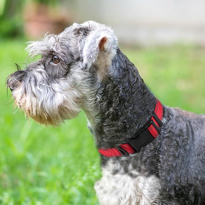 Joytale Reflective Dog Collar, Soft Neoprene Padded, Metal D-Ring, Nylon Pet Collar Adjustable for Small Dogs, Red, S