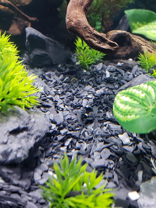 Small World Slate & Stone Aquarium Gravel - Natural Substrate for Aquascaping Planted, Freshwater and Saltwater Tanks - Grey - Small Scale Gravel Size 1/8"-1/4" (14 lbs)