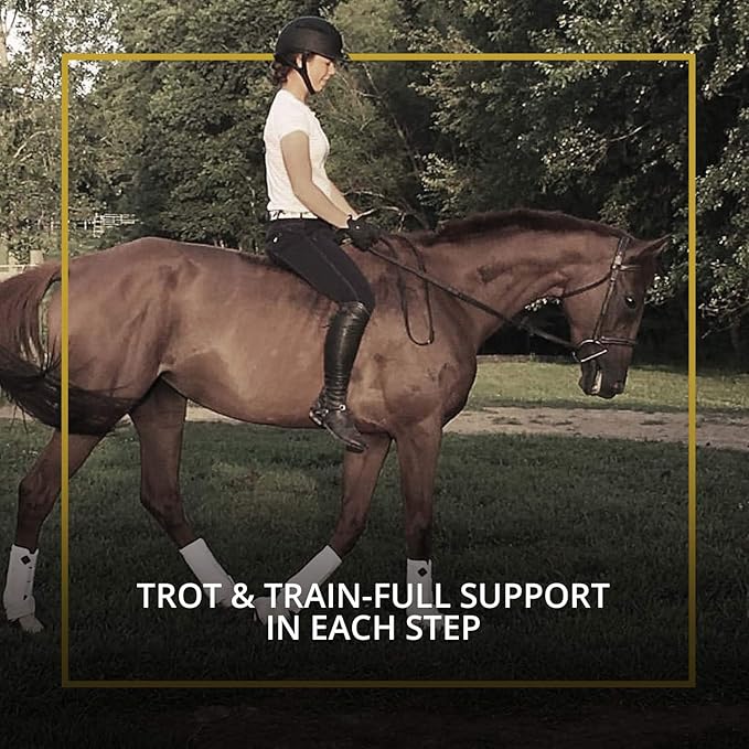 Kavallerie Classic Tendon Boots, Impact-Absorbing Material, Breathable & Evenly Distribute Pressure, Protect Tendon and Ligaments, Anti-Slip, Anti- Sore and Moisture Repellant Show Jumping Boots