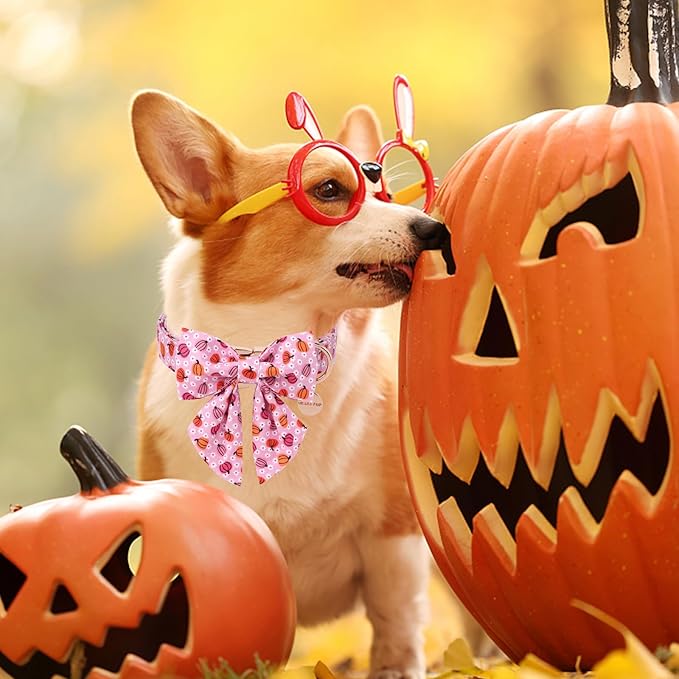 Halloween Pumpkin Dog Collar with Bow Tie, Pink Halloween Puppy Bowtie Collar with Adjustable Metal Buckle,Fancy Dog Collar Bowtie for Girl Boy Dog,XS