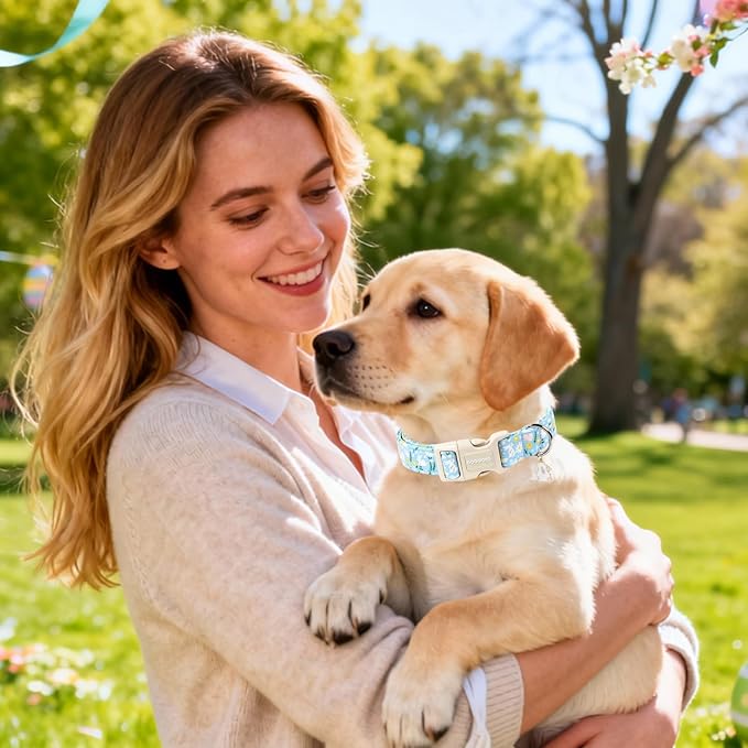 DOGWONG Easter Dog Collar-Cute Easter Rabbit Bunnies Egg Dog Collar, Adjustable Soft Easter Dog Collar for Small Medium Large Dogs, M