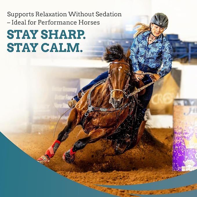 SynNutra Equine SynChill Pure 12-Pack – Non-Sedative Disposition Support for Horses – Plant-Based, L-Theanine-Free Formula for Calm, Confident Performance – 100% Natural & Competition Safe