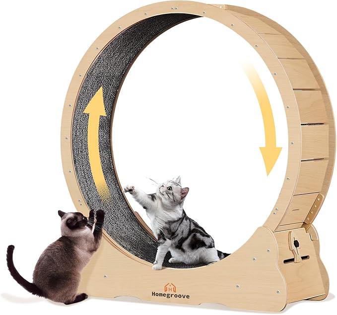 Homegroove Cat Exercise Wheel for Indoor Cats, 46" Large XL Cat Running Treadmill Wheel with Carpeted Runway for Kitty’s Longer Life, Natural Wood Color(XL)