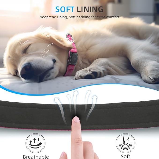 Upgraded AirTag Dog Collar, IP68 Waterproof Air Tag Dog Collar Holder, Reflective, Ultra-Durable, Comfortable Padded, Heavy Duty Dog Collars for Small Medium Large Dogs (M (12.6"-17.1"), Hotpink)