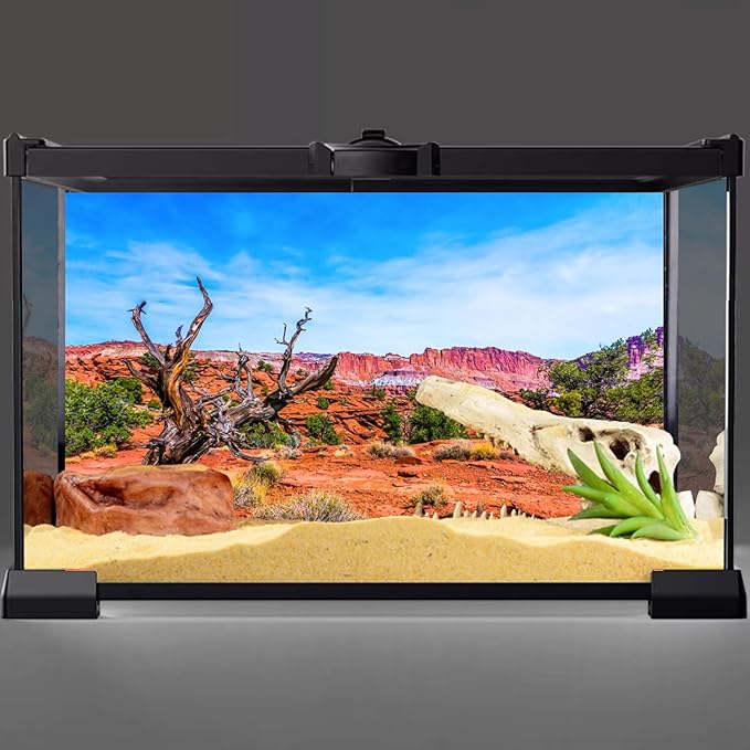 AWERT 36x18 inches Reptile Habitat Background Blue Sky Oasis Orange Desert Terrarium Background Durable Polyester Background