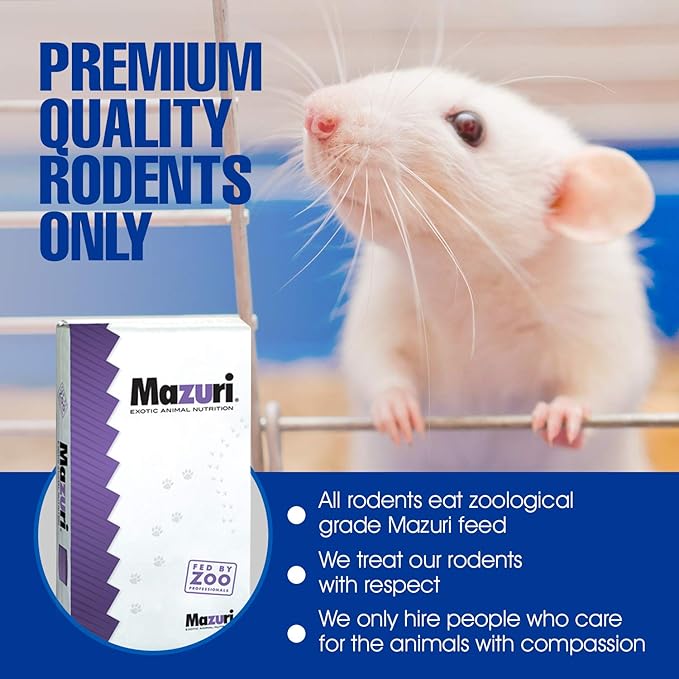 MiceDirect Frozen Rat Combo Pack Rat Weanlings & Rat Smalls Feeder Snake Food for Adult Ball Pythons, Monitors, Lizards, 40 Ounce (100 Count)