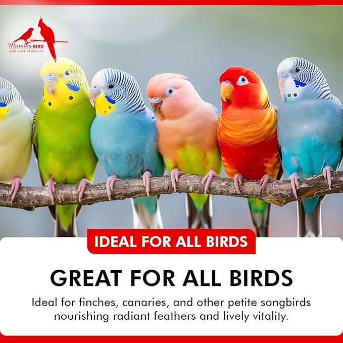 Morning Bird Feather Glo 4 Oz – Palm Oil Supplement for Birds – Supports Pet Skin Treatment Spray, Feather Shine & Immune Health – Vitamin, Mineral & Energy Support for All Bird Types