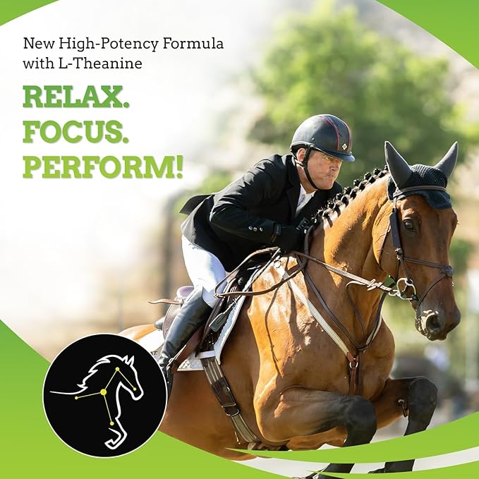 SynChill AF Calming Gel for Nervous Horses - Single Serving - Advanced Formula with L-Theanine, Increased Potency, 100% Natural Supplement, Disposition & Confidence Support for Horses - 3 Pack