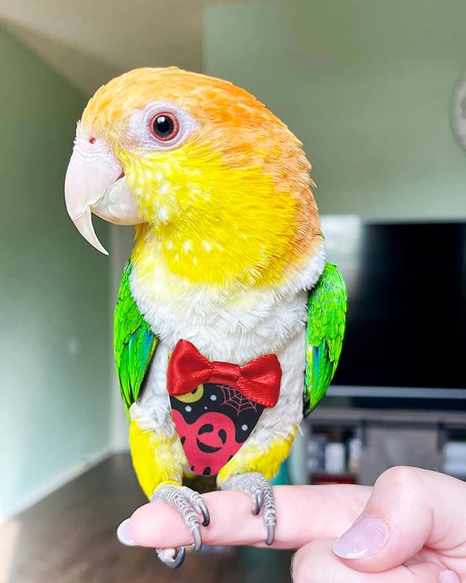 UKJENT Bird Diaper Protective Parrot Nappy - 2 Pack, Reusable Flight Suit with Waterproof Inner Layer, Washable Cute Urine Wet Suit for Parakeet Cockatiel Mini Macaw Budgie Canary(M)