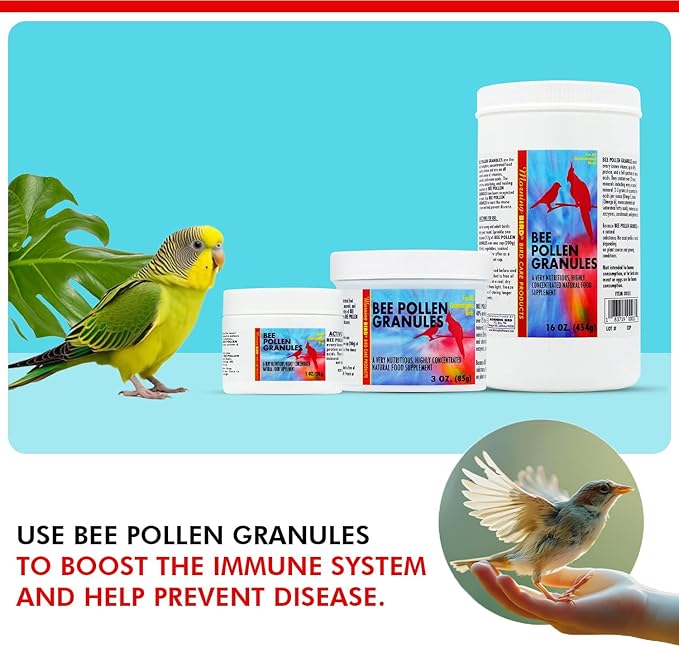 Morning Bird Bee Pollen Granules 1 Oz – Naturally Immune Support & Protein Powder for Birds – Boosts Strength, Feather Health & Energy Supplements – Easy to Mix with Food for All Bird Types