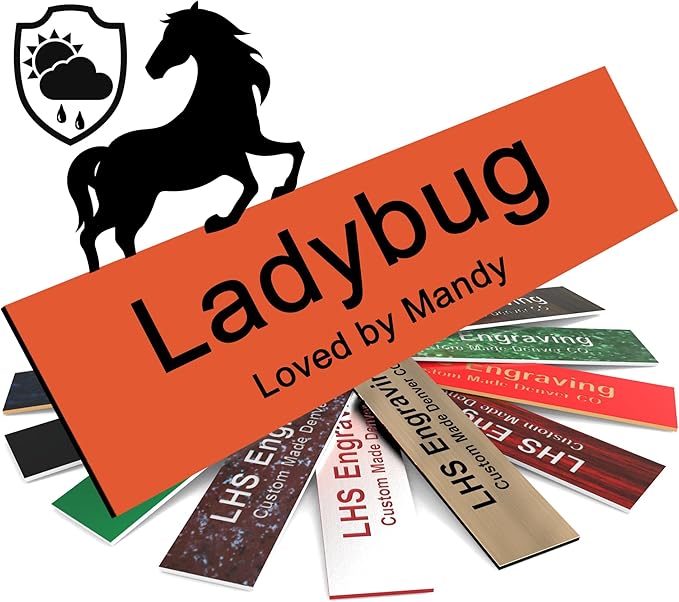 Horse Stall Name Plate, 2x8 Personalized Stall Signs, UV Protected, All Weather Adhesive, Hanging, Mounting or Other, Orange Plastic with Black Letters - Made in USA - B11