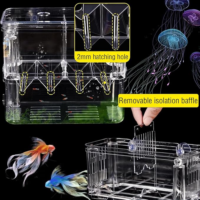 Double Room Breeding Box for Fish Tank, Fish Tank Aquarium Betta Guppy, PC Transparent Large Aquarium Kit More Convenient for You to Watch Ornamental Fish and Shrimps(Large)