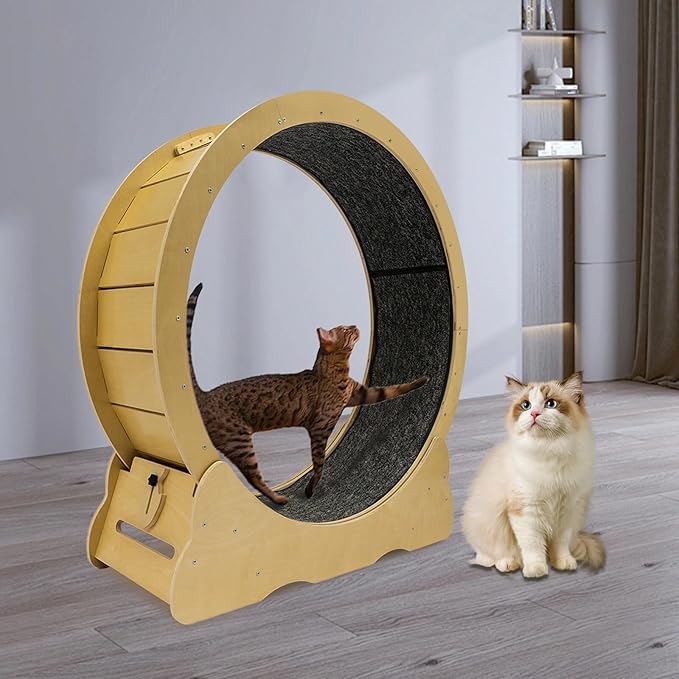 Cat Exercise Wheel, Cat Treadmill for Indoor with Fish-Shaped Clasp & Hook and Loop Fastener Capacity 50Kg/ 110.23Lbs Runway 30.5Cm/ 12 Inch for 11.02-16.53Lbs Small Dogs (Original Wood Color)
