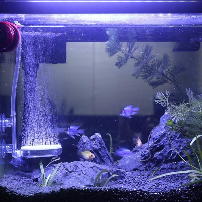 Upettools Aquarium Air Stone Fish Tank Nano Bubble Stone Kit with Control Valve Quiet Super-High Dissolved Oxygen Diffuser Makes Super Tiny Bubbles for Fish Tank and Hydroponic (T60)