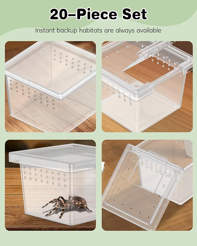 Pawfly 20 Pcs Mini Spider Terrarium Breeding Box, Transparent Plastic Jumping Spider Enclosure Cricket Keeper Tarantula Enclosure, Small Reptile Hatching Container for Scorpion Centipede Gecko Mantis