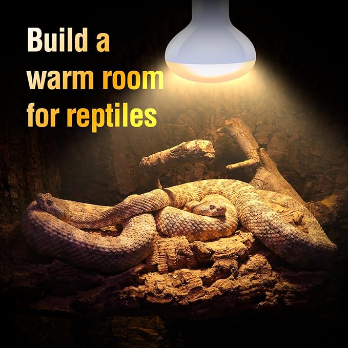 Leoterra 75W Heat Lamp 2PACK Heat Lamp Bulbs for Bearded Dragon, Lizard, Gecko, Frog,Snake,Chicken,Dog E26 Reptile Heat Lamp 75w Ideal for Reptile Terrarium
