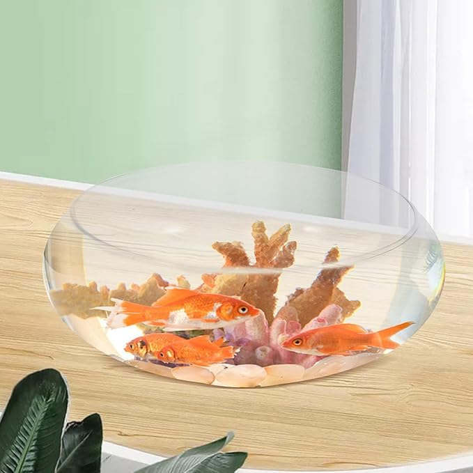 DOITOOL Glass Fish Bowl Clear Round Shallow Aquarium Planter Hydroponic Vase Wide Mouth Fishbowl Planters for Desktop Aquatic Plants and Small Fish Tank