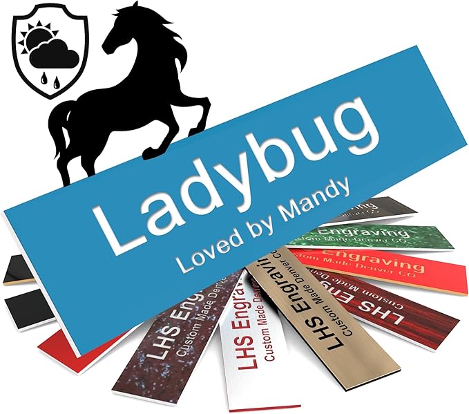 Personalized Horse Stall Name Plates, 2x10 Horse Stall Signs with Adhesive, All Weather UV Protected, Light Blue Plastic White Letters - Made in USA - B1