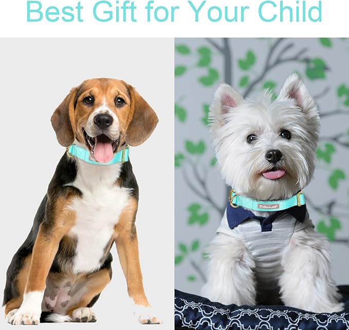 Nylon Dog Collar - Adjustable Lake Blue Soft Webbing Dog Collars for Small Medium Large Dogs Boy Girl Puppy Collar with Safety Metal Buckle S