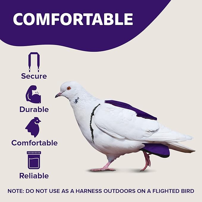 Hen Holster Wrap-Around Bird Diaper & Harness for Larger Pigeons, Small Breed - with Removable Liner, Adjustable Fit for Outdoor Adventures & Indoor Use, Easy to wear - Purple, XS