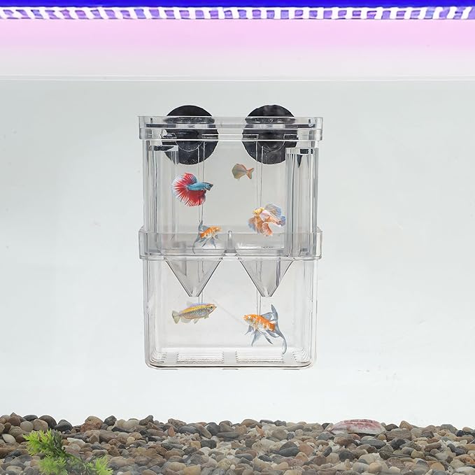 Fish Breeder Box, Easy-to-Use Breeder Tank Divider, Breeder Box for Fish Tank, Versatile Breeder System, S, Clear, 1 Set